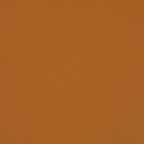 Orange Open Line Leather VZ19